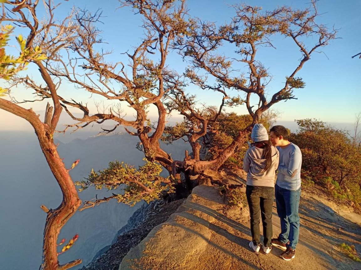 Thalia & Ijen Bromo Tour