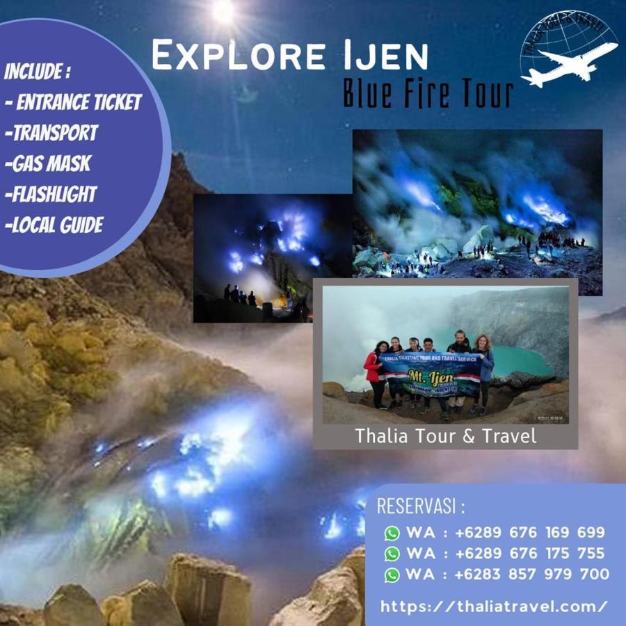 Thalia & Ijen Bromo Tour Homestay