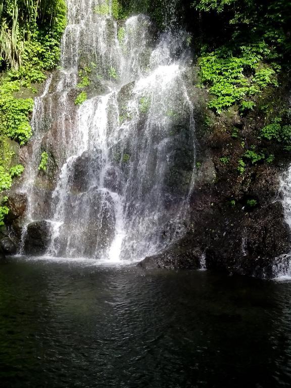 Thalia & Ijen Bromo Tour Homestay Banyuwangi (East Java)