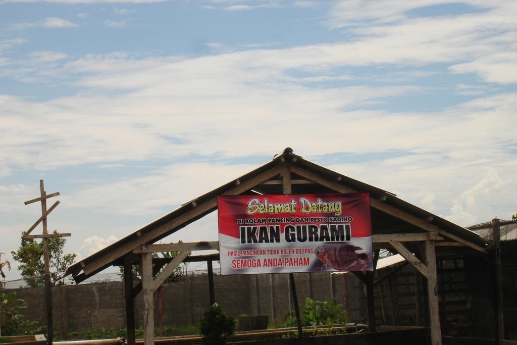 Thalia & Ijen Bromo Tour Banyuwangi (East Java)