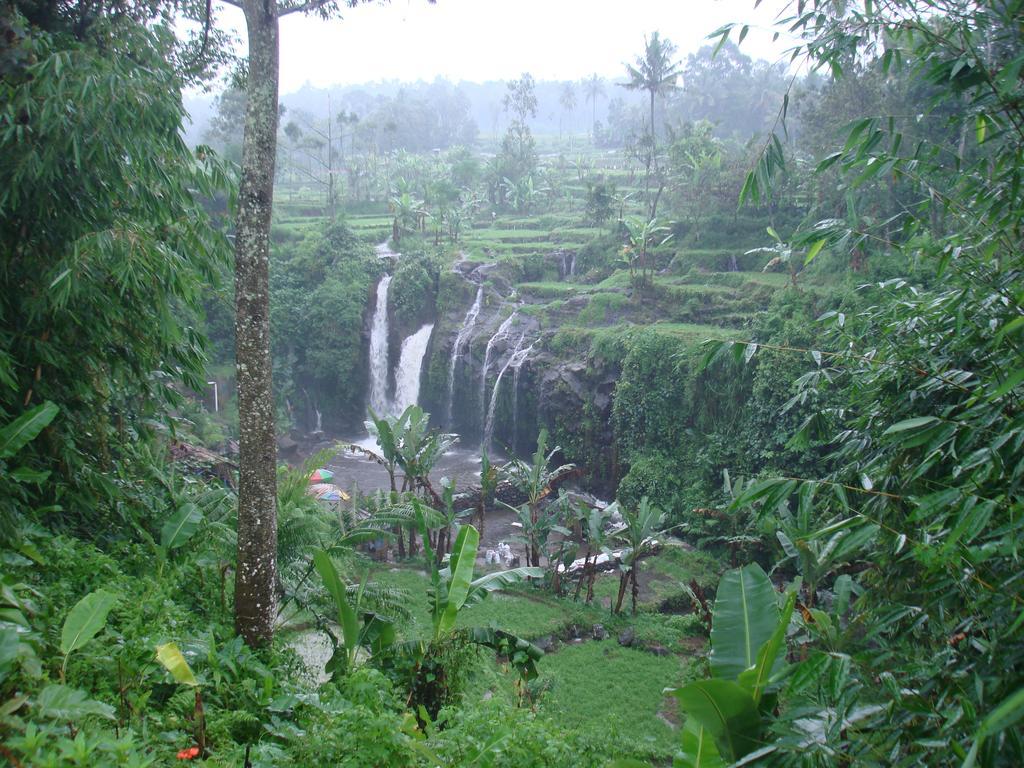 Homestay Thalia & Ijen Bromo Tour *