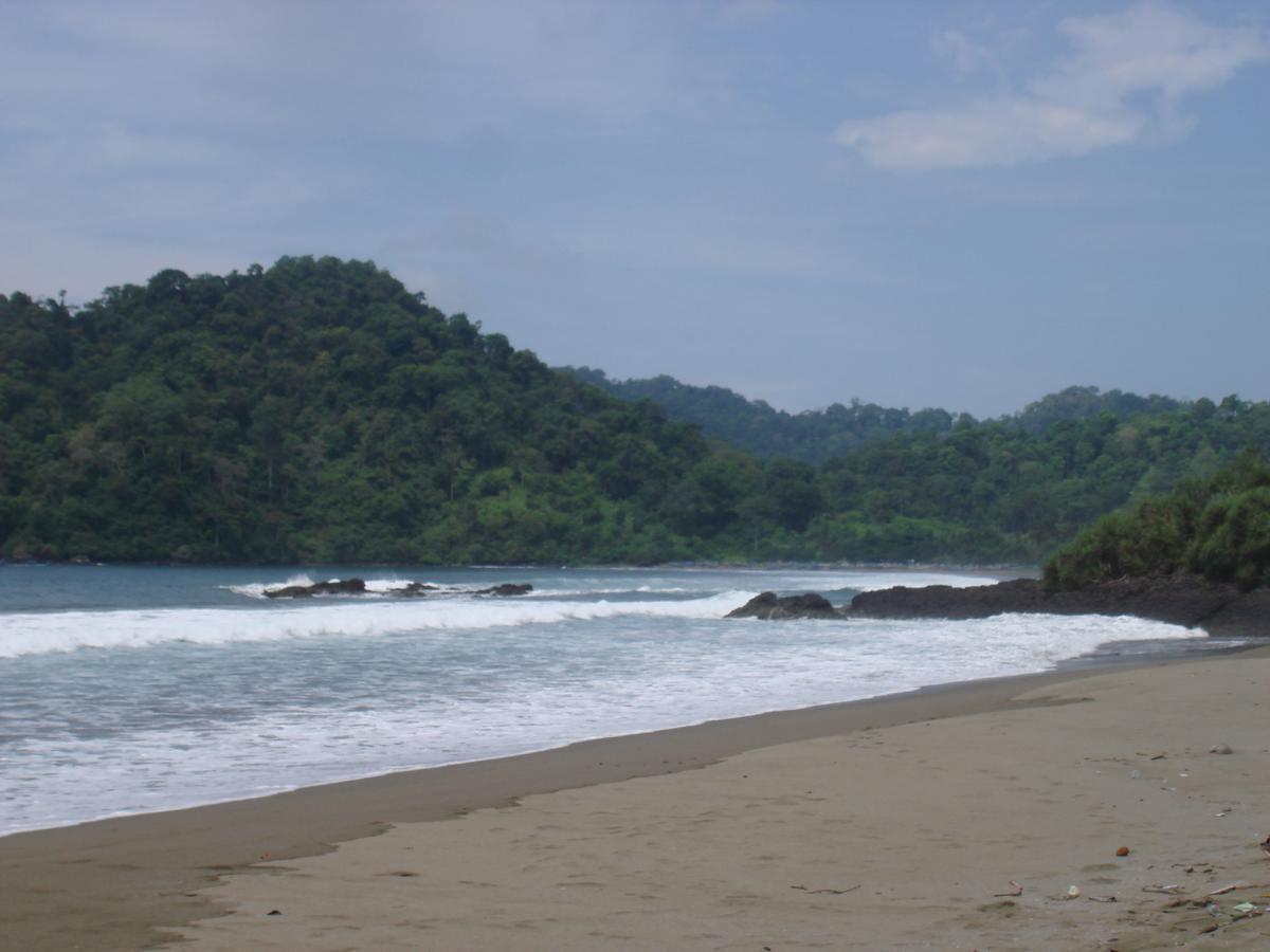 Thalia & Ijen Bromo Tour Homestay Banyuwangi (East Java)