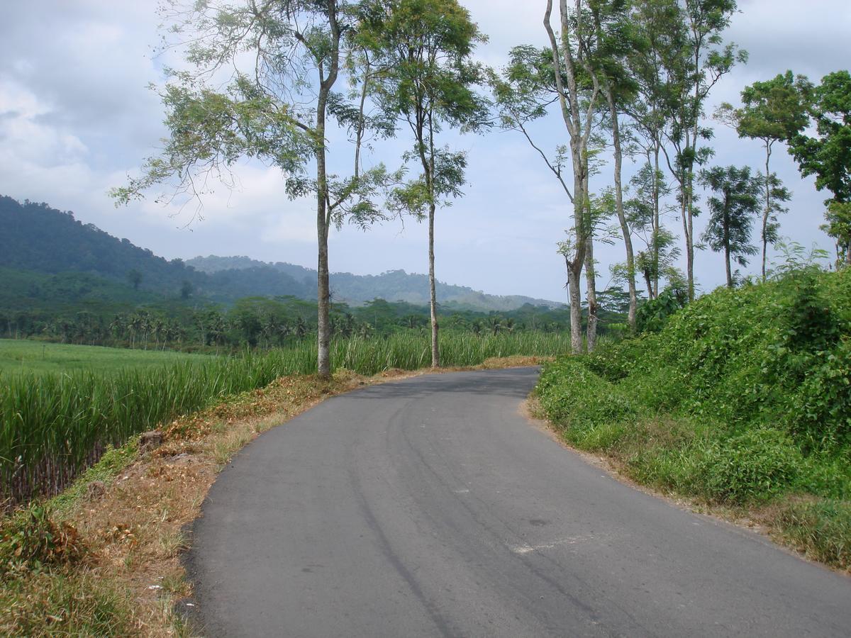 Thalia & Ijen Bromo Tour Homestay *