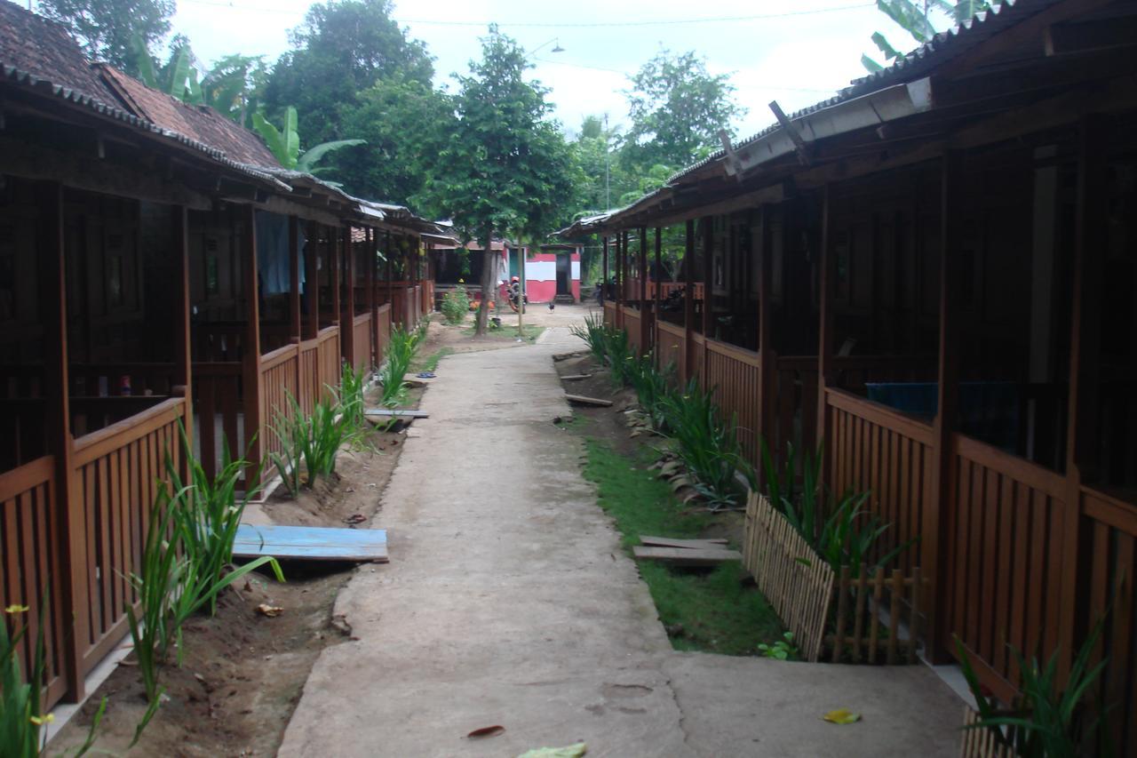 Homestay Thalia & Ijen Bromo Tour