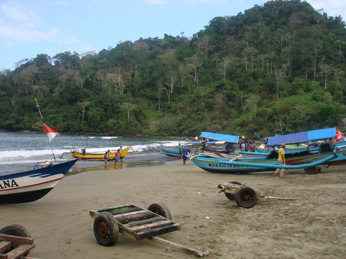 Thalia & Ijen Bromo Tour Homestay