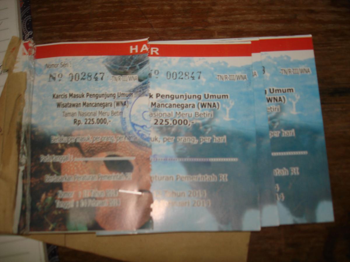 Homestay Thalia & Ijen Bromo Tour Banyuwangi (East Java)